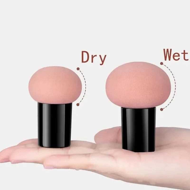 Mushroom Head Makeup Sponge Dr - đánh giá và giá Beauty Makeup Tools Use
