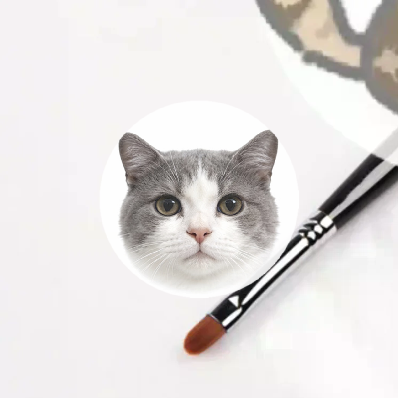Eyeshadow Lip Gloss Makeup Bru - đánh giá và giá Beauty Makeup Eyeshadow
