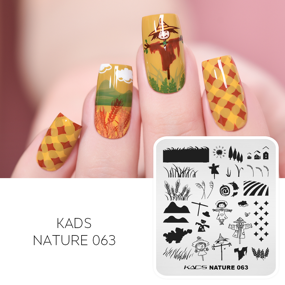 KADS Dập Tấm Móng Tem Bản Mẫu  - đánh giá và giá Nail Art Stamping Kit