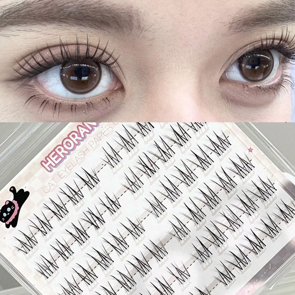 Fake Lashes Natural Long-Lasti - đánh giá và giá Your Beauty Makeup