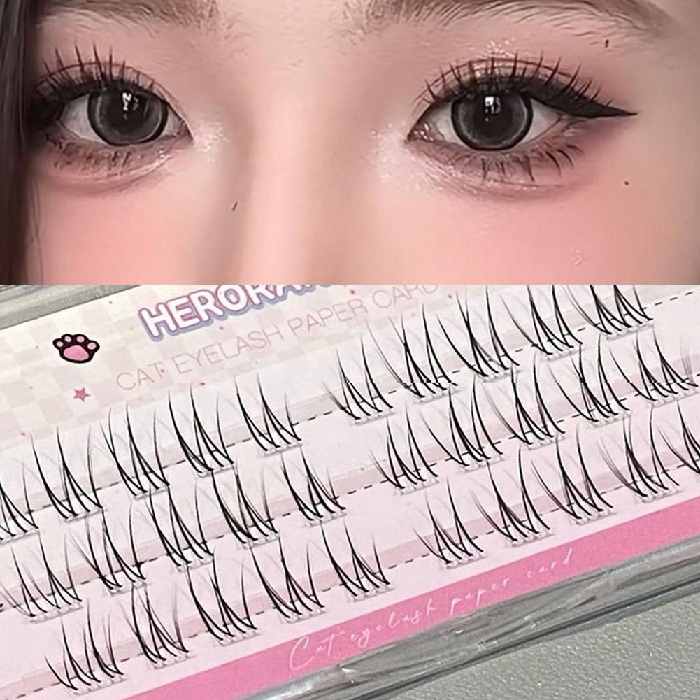 Fake Lashes Natural Long-Lasti - đánh giá và giá Your Beauty Makeup